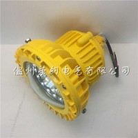 FW6580LED防爆燈圖片 20W防爆車間燈