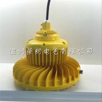 山東BLD610LED防爆燈 液體廠80W防爆照明燈