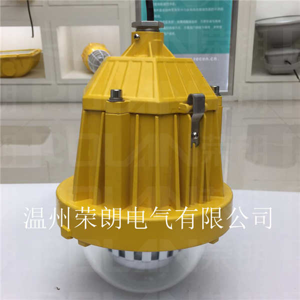 DGS48LED防爆燈 24W/IP67LED吊桿燈