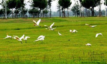 QQ截圖20181008215657