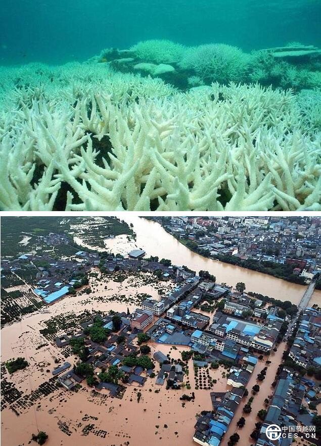 QQ截圖20181014204818