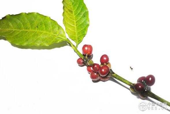 QQ截圖20181022204750