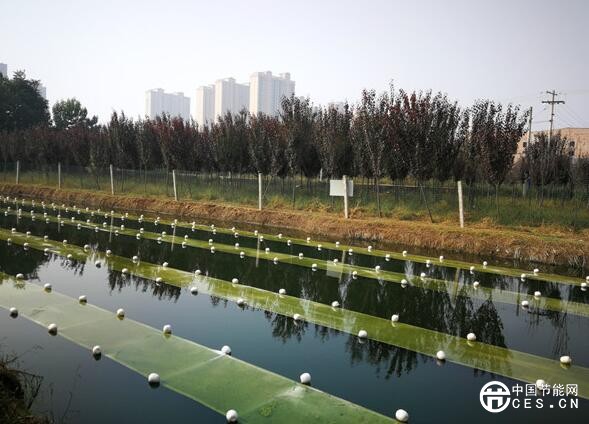 QQ截圖20181029195046