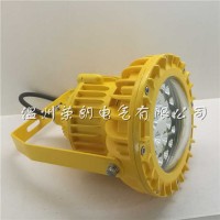 瓷磚廠BLD220-30WLED防爆燈報價