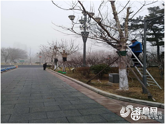 bde9e2fb28d2a4355146cfb386b10da3.png 微信圖片_20190115093523.png