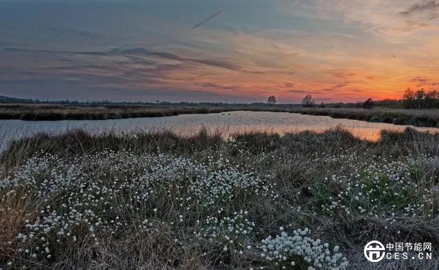 北極變暖速度比任何地方都要快！如何預(yù)測北極濕地的未來？