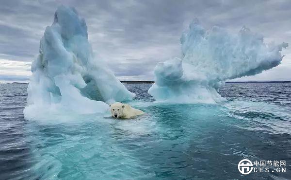 北極變暖速度比任何地方都要快！如何預(yù)測北極濕地的未來？
