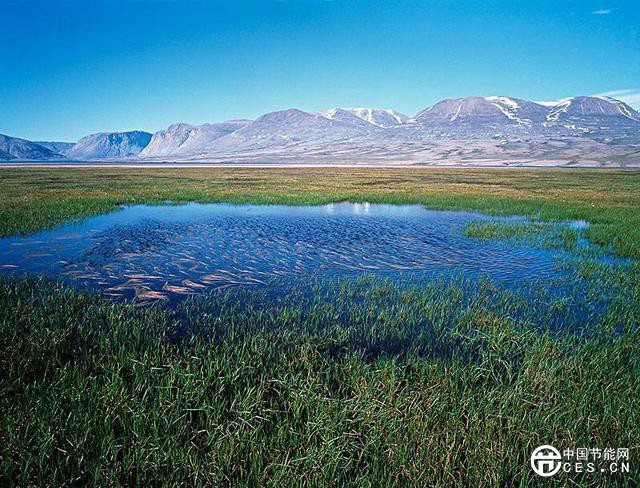 北極變暖速度比任何地方都要快！如何預(yù)測北極濕地的未來？