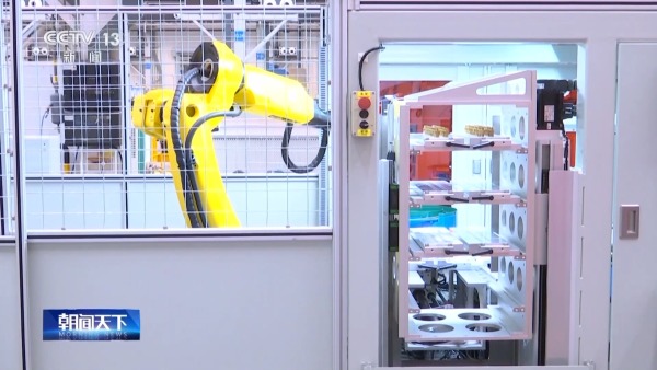 駐華使節(jié)紛紛點贊！中國與全球能源合作不斷呈現(xiàn)“綠意”