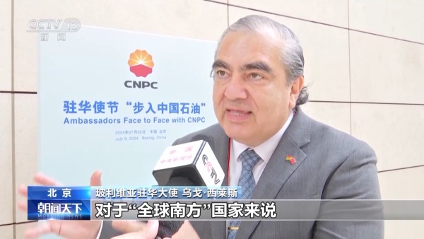 駐華使節(jié)紛紛點贊！中國與全球能源合作不斷呈現(xiàn)“綠意”