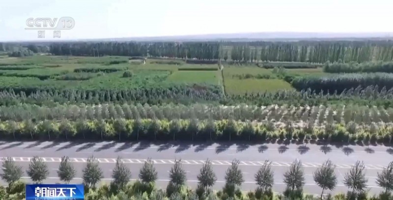 自愿碳是什么碳？促進雙碳目標實現 這個市場很重要