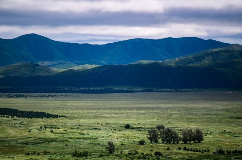 中國加強(qiáng)森林碳匯建設(shè)促進(jìn)實(shí)現(xiàn)碳中和目標(biāo)