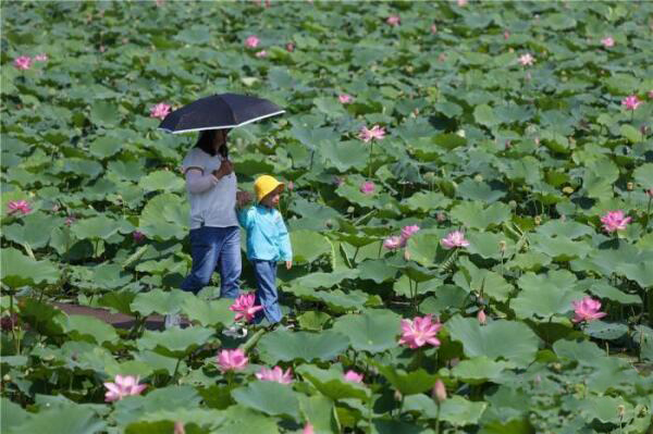 山西先行打造能源革命綜改試點 天朗氣清 “碳”索未來