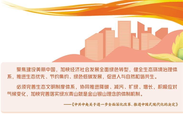 深化改革驅(qū)動全面綠色轉(zhuǎn)型