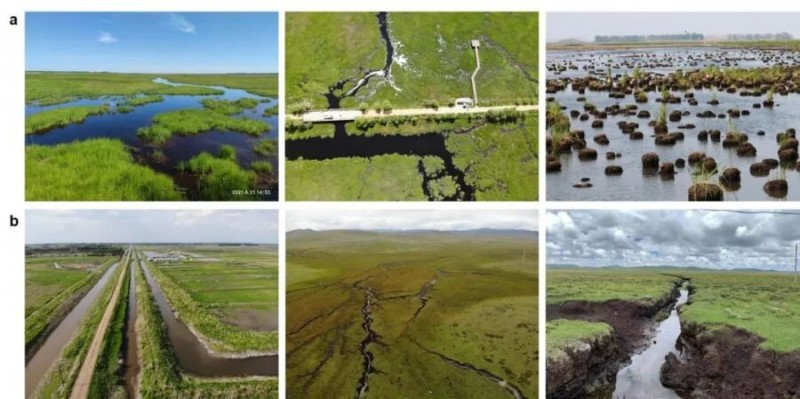 干涸的濕地會加速碳分解嗎？