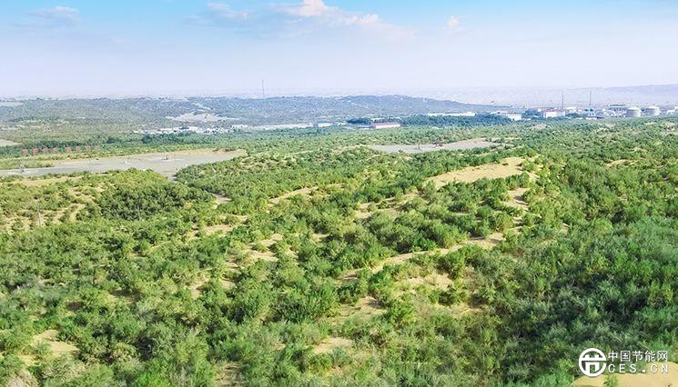 陽光“養(yǎng)綠”首條零碳沙漠公路 陽光“養(yǎng)綠”首條零碳沙漠公路