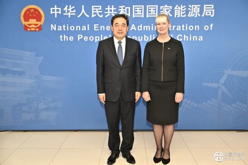 國家能源局主要負(fù)責(zé)人會見世界能源理事會總干事