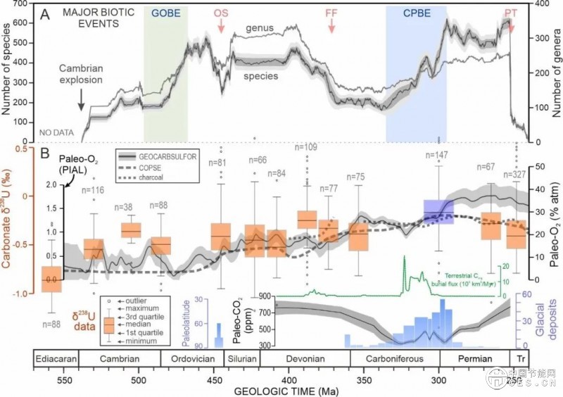 全球變暖竟讓海洋缺氧？