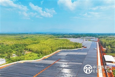 能源綠色轉(zhuǎn)型 中印尼合作新亮點