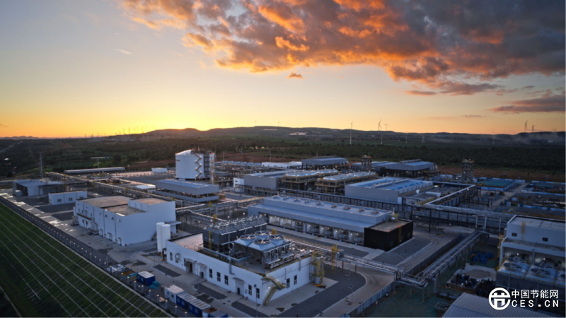 全球最大綠色氫氨項目投產