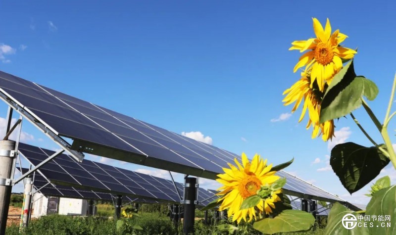 政策引導光伏供需優(yōu)化，“反內(nèi)卷”激活市場信心