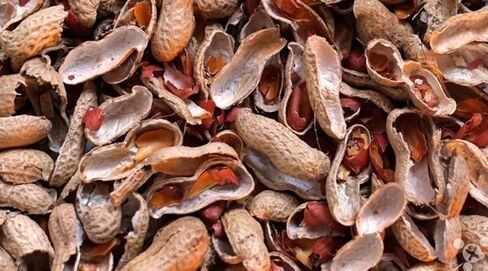 萬萬沒想到！花生殼竟能拯救北京霧霾