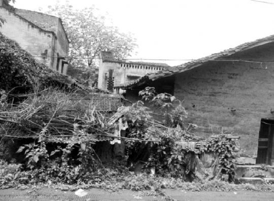 為建小南海水電站，2006年，官方下達(dá)“封庫令”，禁止房屋建設(shè)以及招商引資。8年后，中壩島上許多房屋都成了危房。本報記者 鄧全倫 攝