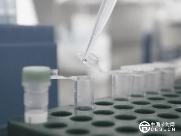 甘肅馬鈴薯加工“廢水”變“肥水”