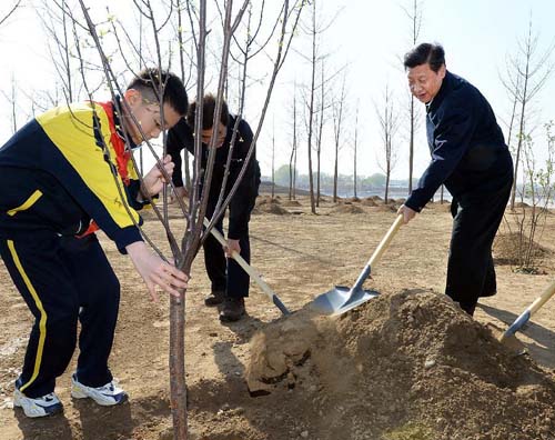 要保護好每一寸綠色