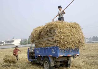 山東臨沂“1+1+1”農(nóng)機作業(yè)新模式助力大氣污染防治