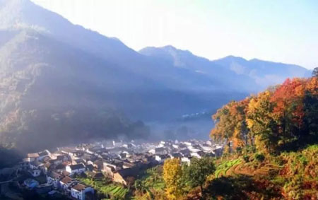 拿什么拯救農(nóng)村環(huán)境污染？