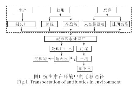 抗生素在城市污水處理系統(tǒng)中的分布及去除
