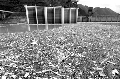 樂昌峽大壩上游庫(kù)區(qū)被垃圾漂浮帶圍困