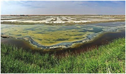 騰格里沙漠污染