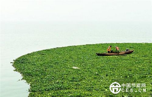 工作人員在進(jìn)行東湖清漂