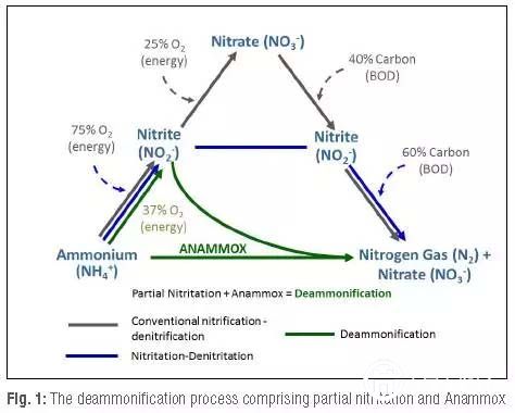 新加坡水創(chuàng)新系列一:邁向能量自給