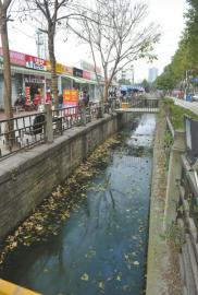 2月17日，成都國槐街的兩條水渠又臟又臭。