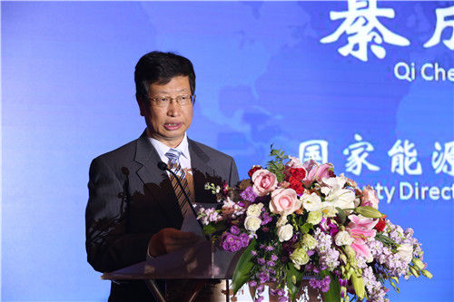 國家能源局副局長綦成元致辭