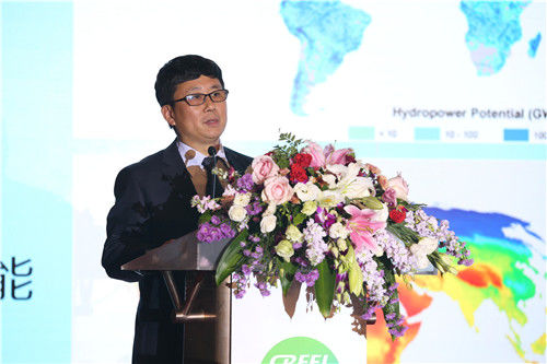 水電水利規(guī)劃設(shè)計總院院長鄭聲安發(fā)言