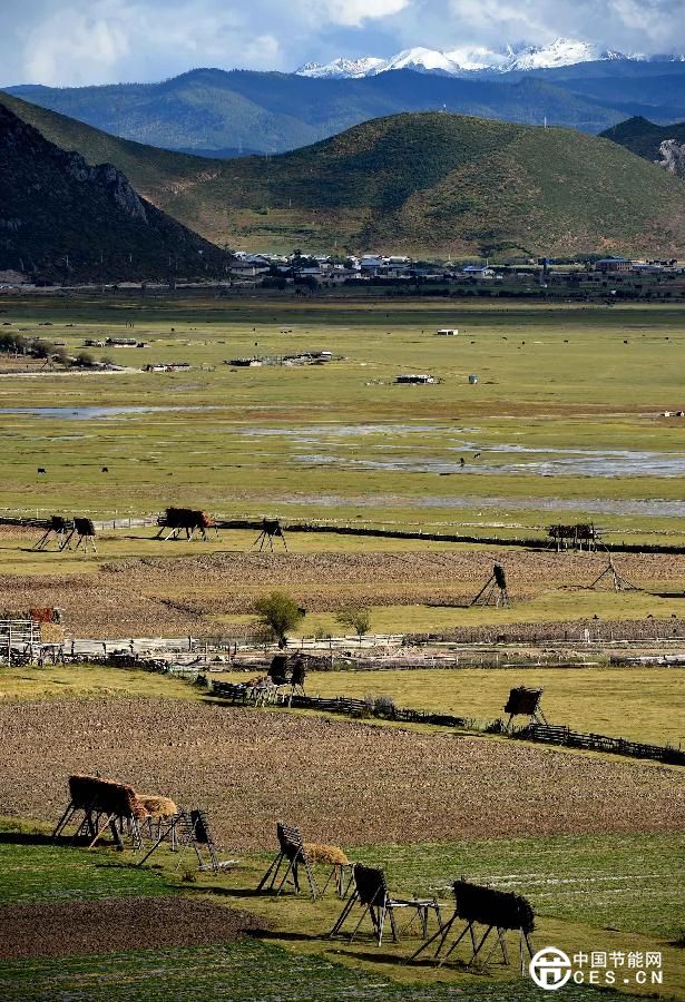 云南迪慶藏族自治州推進(jìn)生態(tài)文明建設(shè) 森林覆蓋率達(dá)73.95%