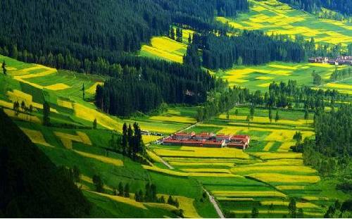 【理上網(wǎng)來 喜迎十九大】秉持生態(tài)文明理念，大力推進綠色發(fā)展